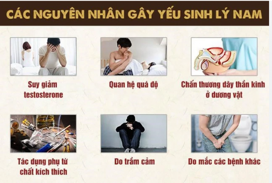 ÝL.PNG